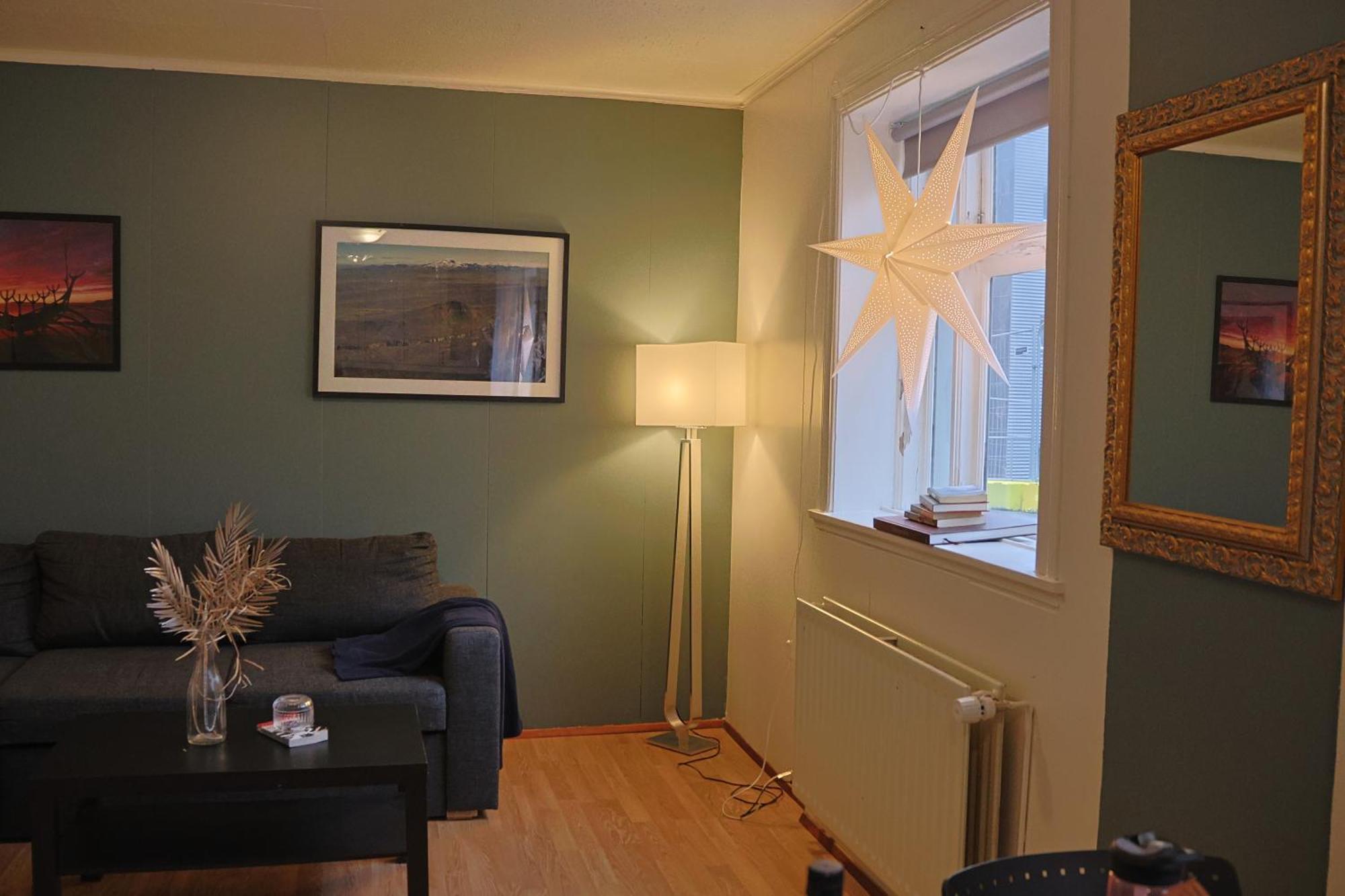 Lagertha'S Apartment,Downtown רייקיאוויק מראה חיצוני תמונה